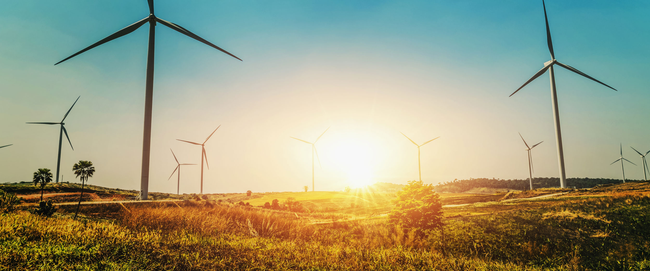 Windturbinen stehen im Sonnenuntergang auf Wiese