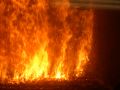 Das Feuer in dem Feuerraum eines Bioenergiewerkes