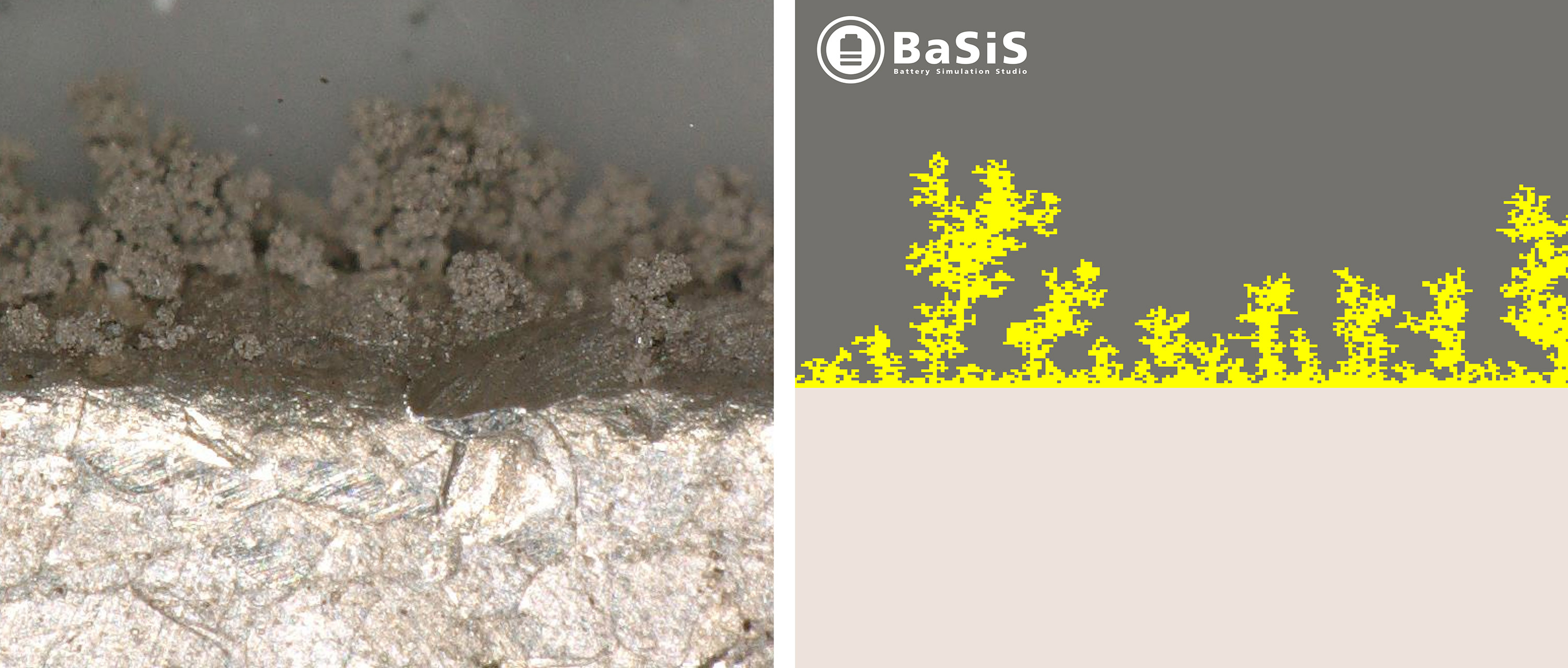 Linke Abbildung: fem | Forschungsinstitut Edelmetalle + Metallchemie / In-situ-Lithium-Dendritenwachstum während der elektrochemischen Lithiumabscheidung in 1 M LiPF6 in EC/DMC (1:1) bei einer Stromdichte von 1 mA/cm² in einer In-situ-Testzelle (EL-Cell GmbH, ECC-Opto-Std), visualisiert mit dem Lichtmikroskop Keyence VHX-5000 bei 150-facher Vergrößerung. Rechte Abbildung: BaSiS - Simuliertes Dendritenwachstum in einer diskreten 200x200 Matrix. Pixel wird eingefärbt, falls Bedingung zur Lithiumabscheidung erfüllt ist.